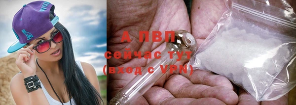 спиды Арсеньев