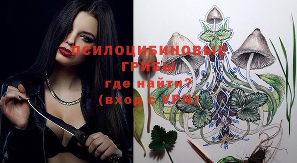 спиды Арсеньев