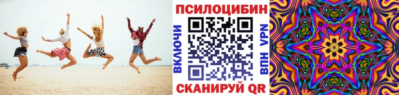 Псилоцибиновые грибы Psilocybe  наркотики  Лосино-Петровский 